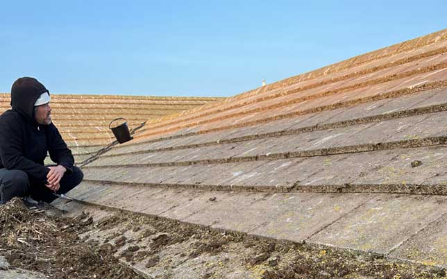 moss removal feature 644 402